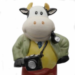 Spardose, Motiv: Kuh mit Kamera